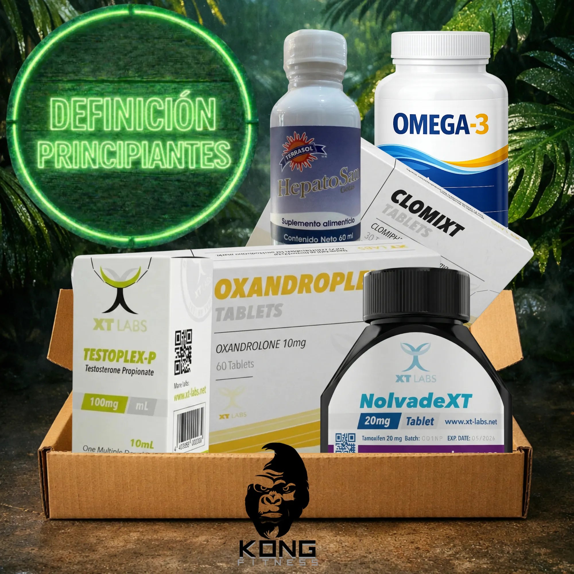 CICLO DEFINICIÓN PRINCIPIANTES (ESTÉTICA) XT LABS