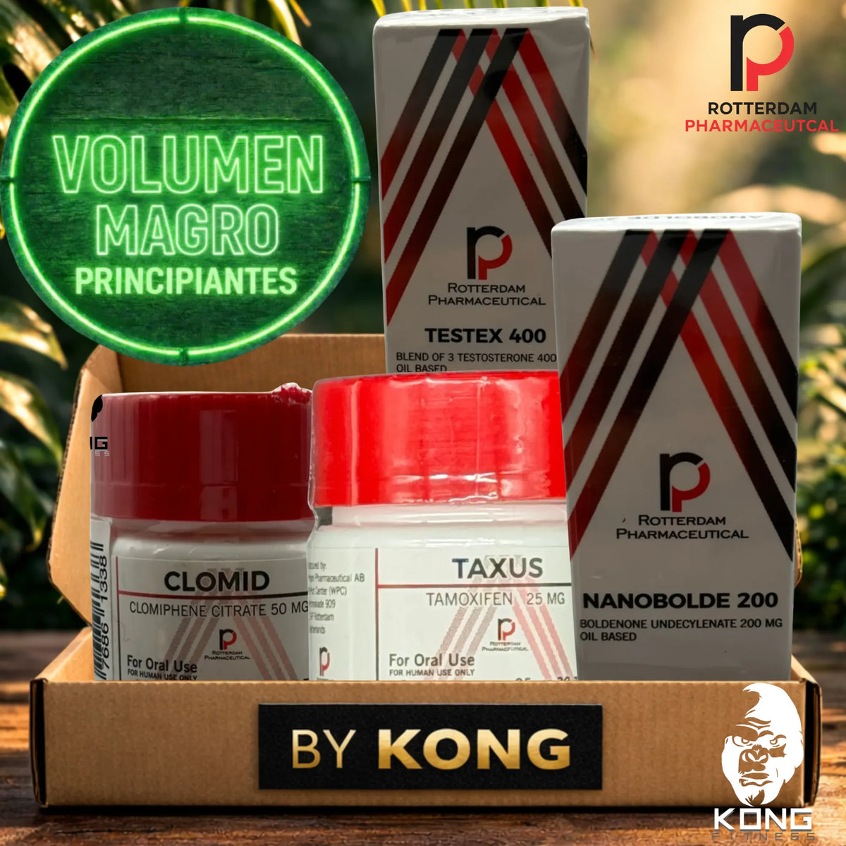 CICLO RECOMPOSICIÓN CORPORAL PRINCIPIANTES (VOLUMEN MAGRO) ROTTERDAM