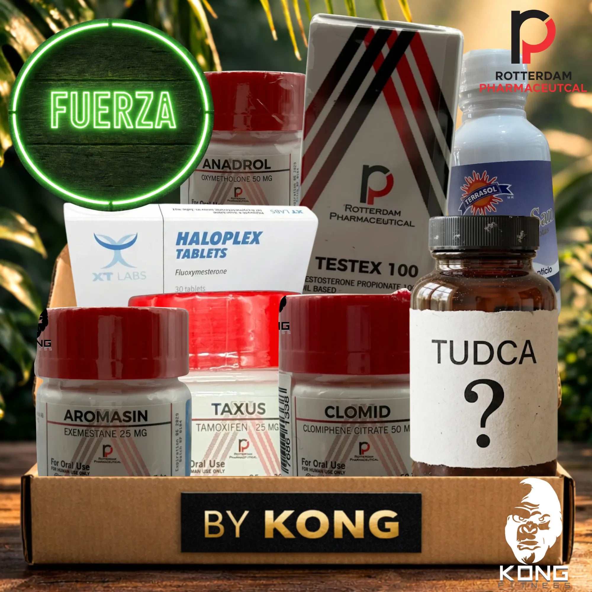 CICLO FUERZA Y RENDIMIENTO (ATLETAS) ROTTERDAM