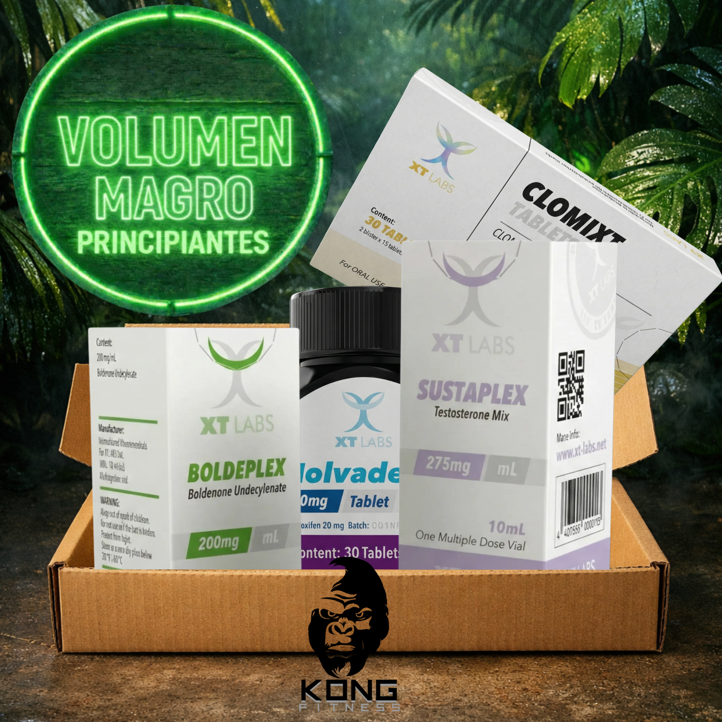 CICLO RECOMPOSICIÓN CORPORAL PRINCIPIANTES (VOLUMEN MAGRO) XT LABS