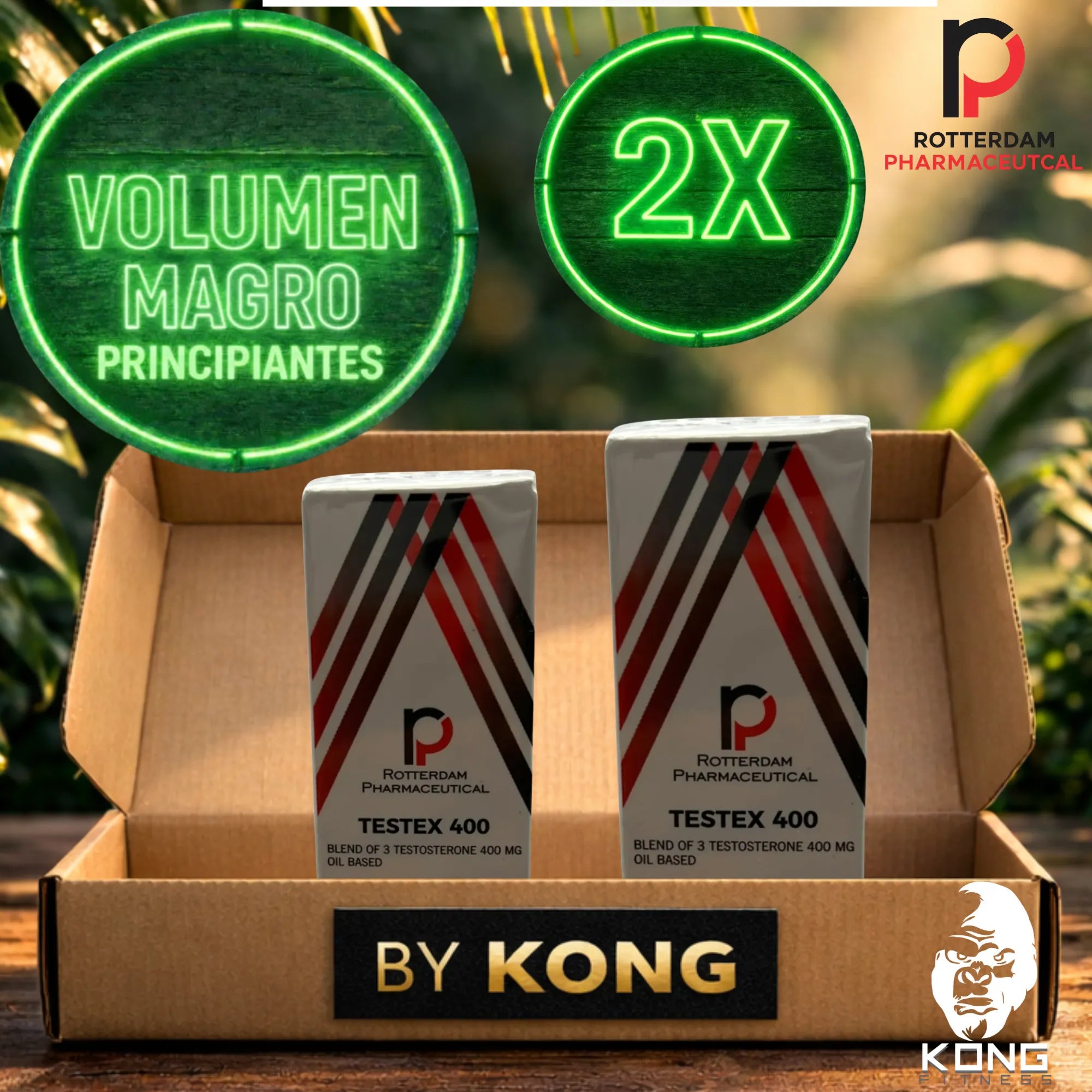 CICLO RECOMPOSICIÓN CORPORAL PRINCIPIANTES (VOLUMEN MAGRO) ROTTERDAM