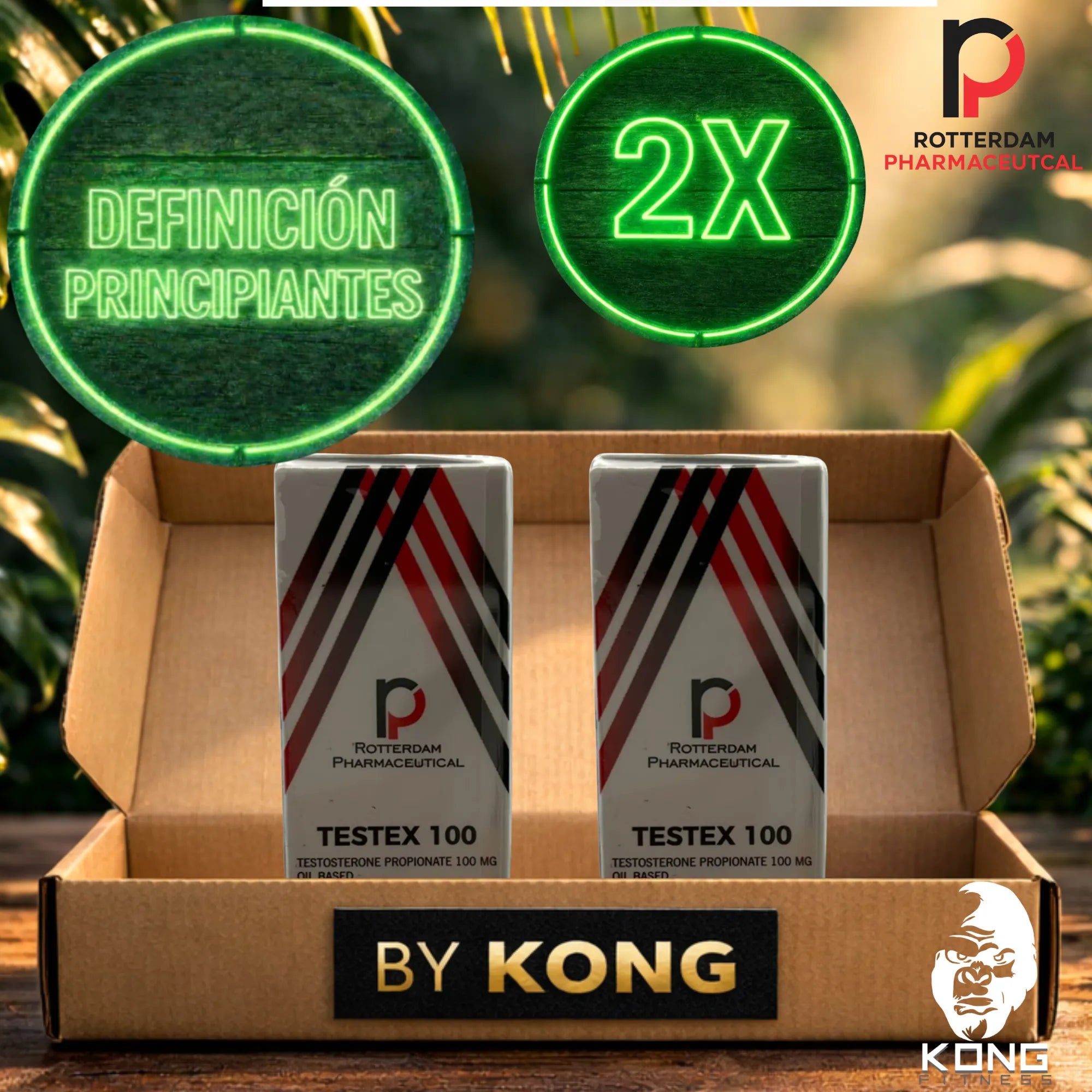 CICLO DEFINICIÓN PRINCIPIANTES (ESTÉTICA) ROTTERDAM