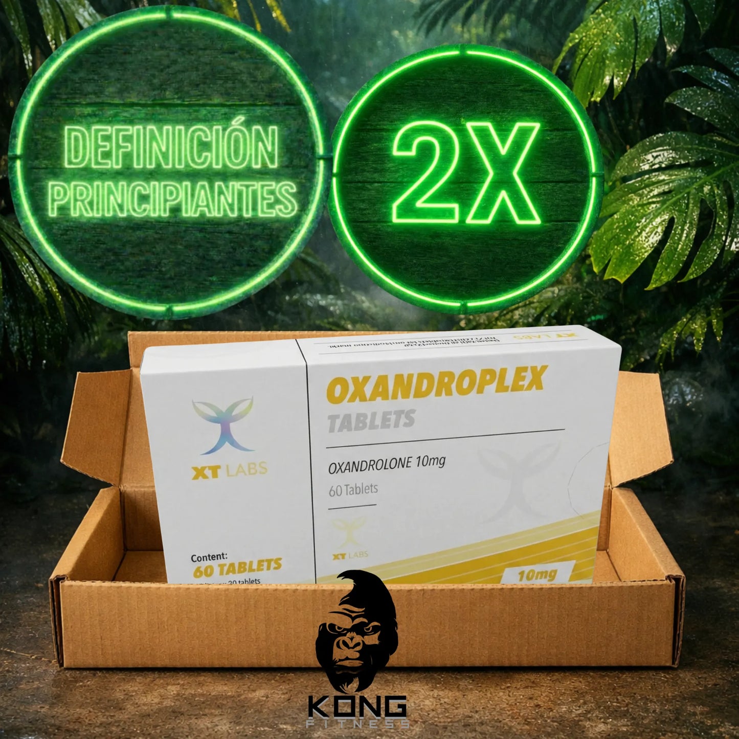 CICLO DEFINICIÓN PRINCIPIANTES (ESTÉTICA) XT LABS