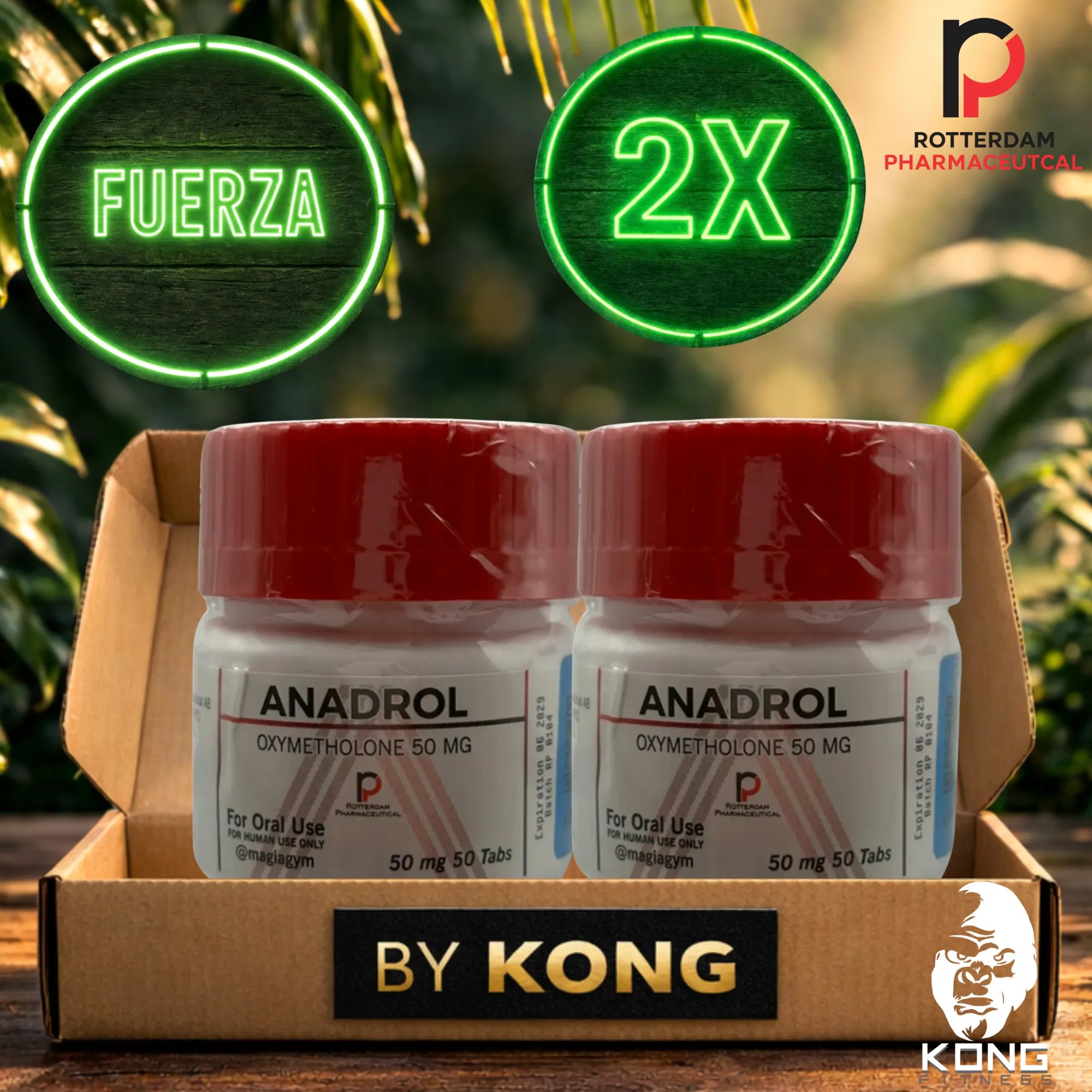 CICLO FUERZA Y RENDIMIENTO (ATLETAS) ROTTERDAM