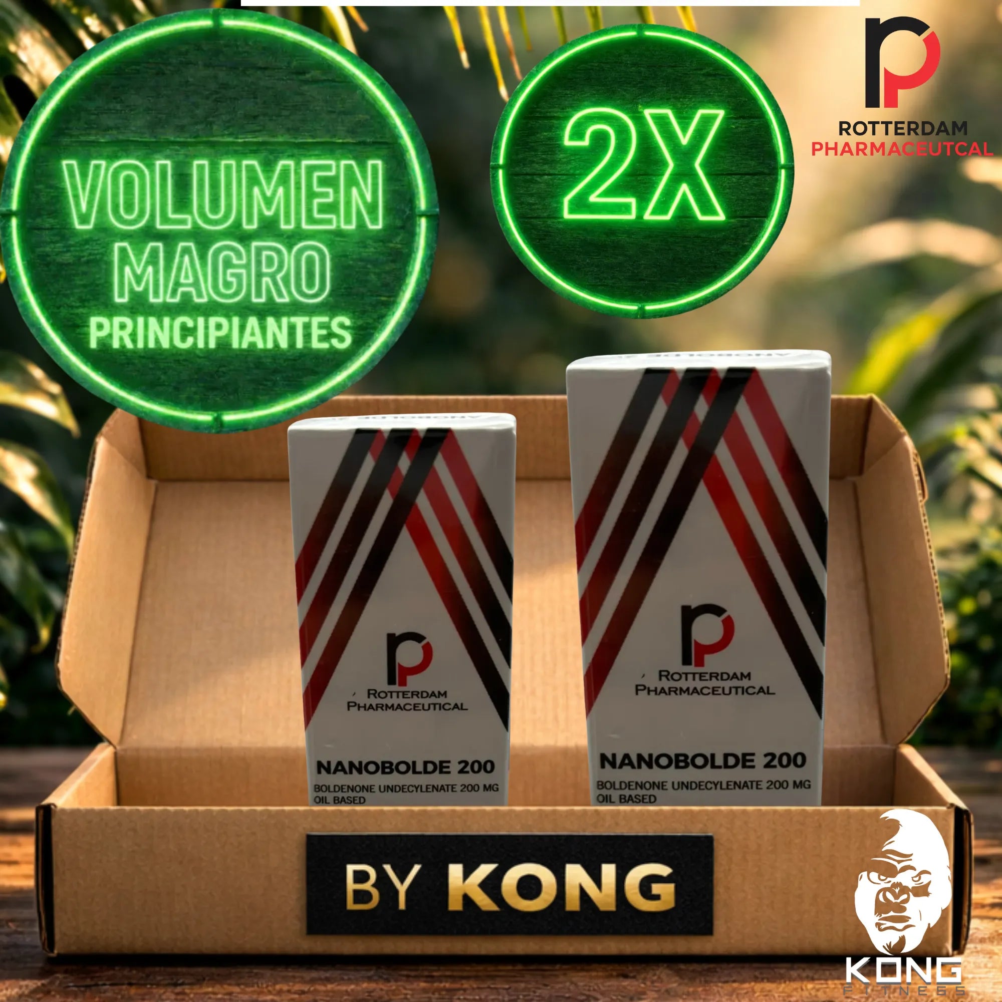 CICLO RECOMPOSICIÓN CORPORAL PRINCIPIANTES (VOLUMEN MAGRO) ROTTERDAM