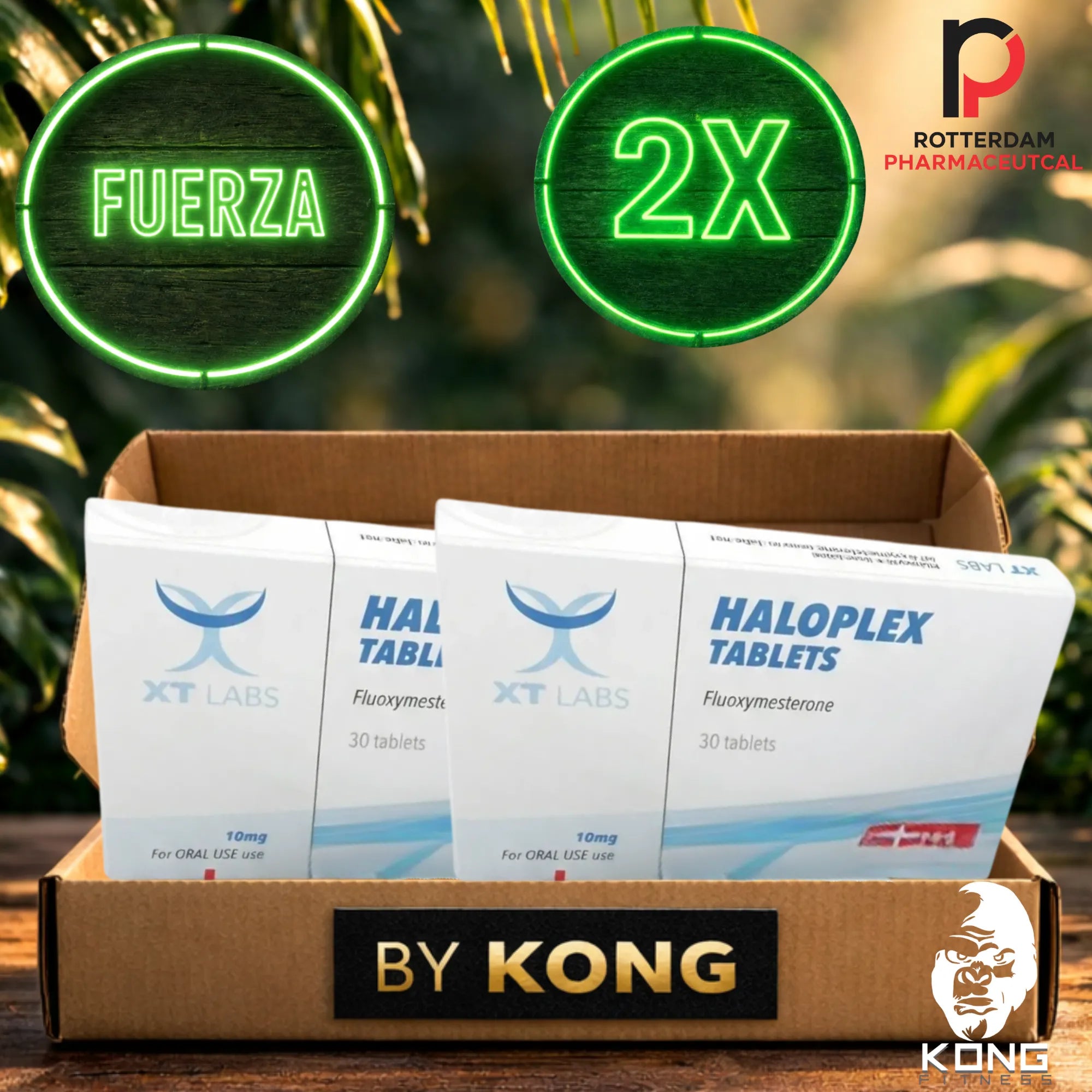 CICLO FUERZA Y RENDIMIENTO (ATLETAS) ROTTERDAM