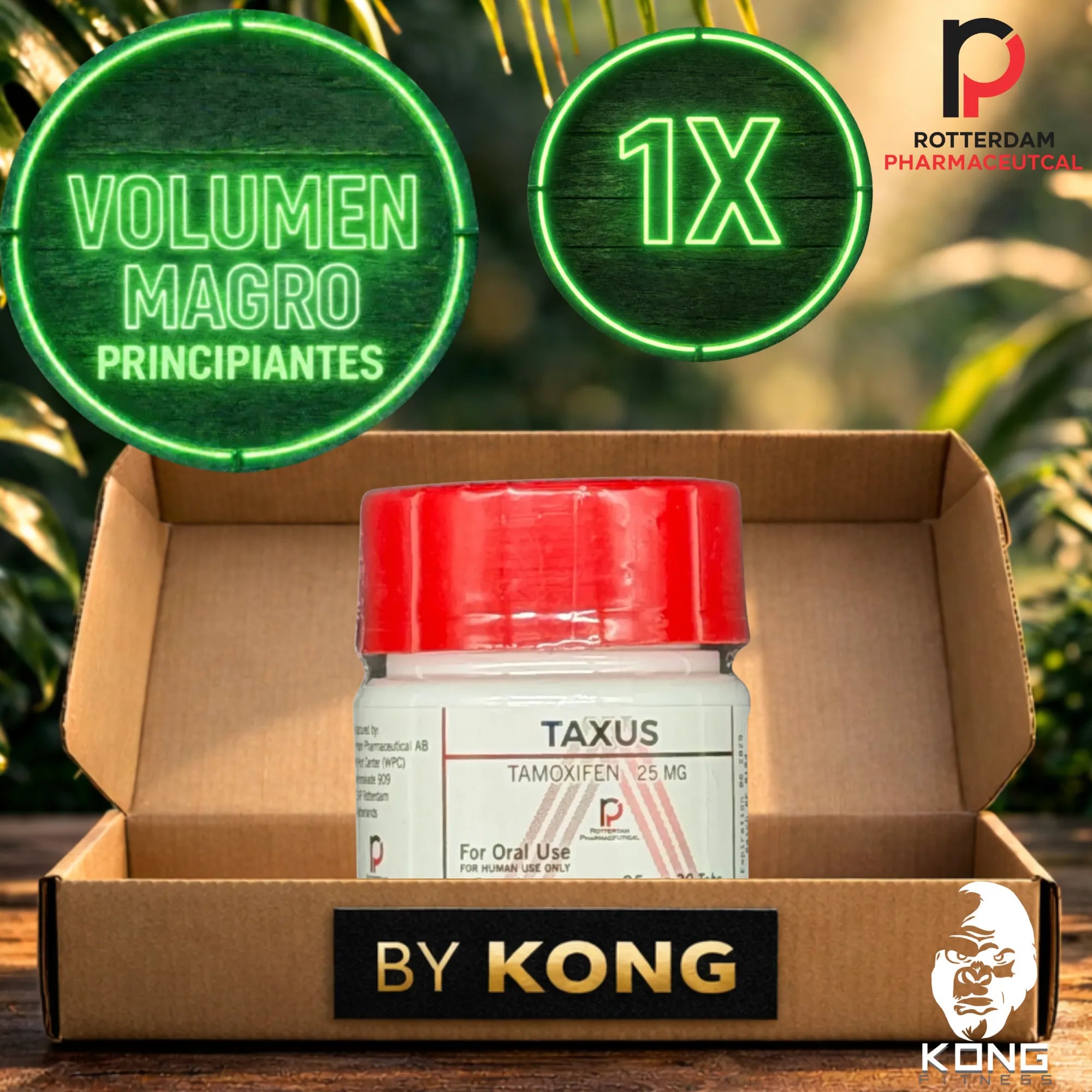 CICLO RECOMPOSICIÓN CORPORAL PRINCIPIANTES (VOLUMEN MAGRO) ROTTERDAM