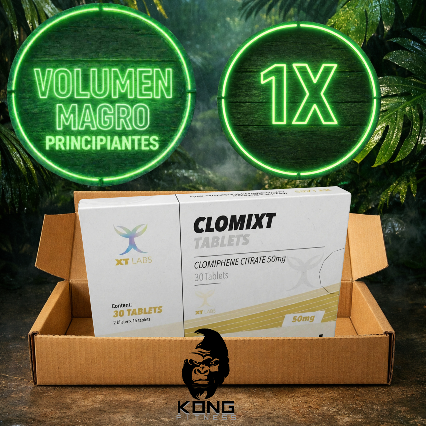 CICLO RECOMPOSICIÓN CORPORAL PRINCIPIANTES (VOLUMEN MAGRO) XT LABS