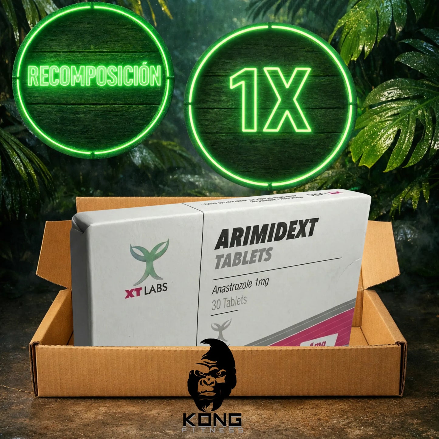 CICLO RECOMPOSICIÓN CORPORAL (VOLUMEN MAGRO) XT LABS
