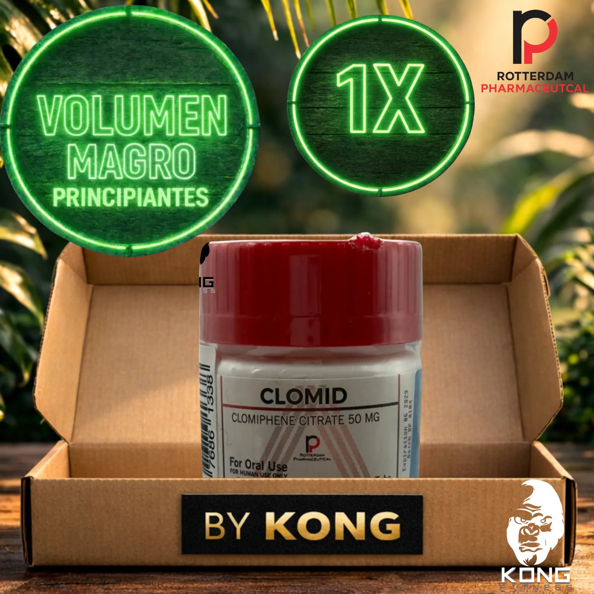 CICLO RECOMPOSICIÓN CORPORAL PRINCIPIANTES (VOLUMEN MAGRO) ROTTERDAM