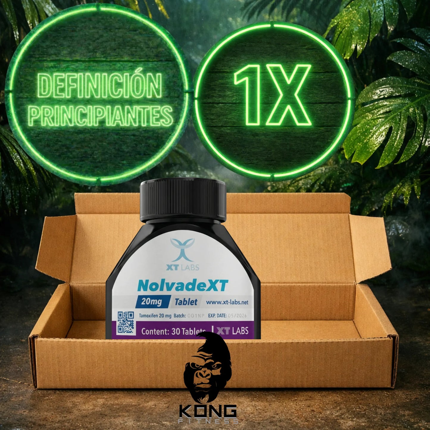 CICLO DEFINICIÓN PRINCIPIANTES (ESTÉTICA) XT LABS