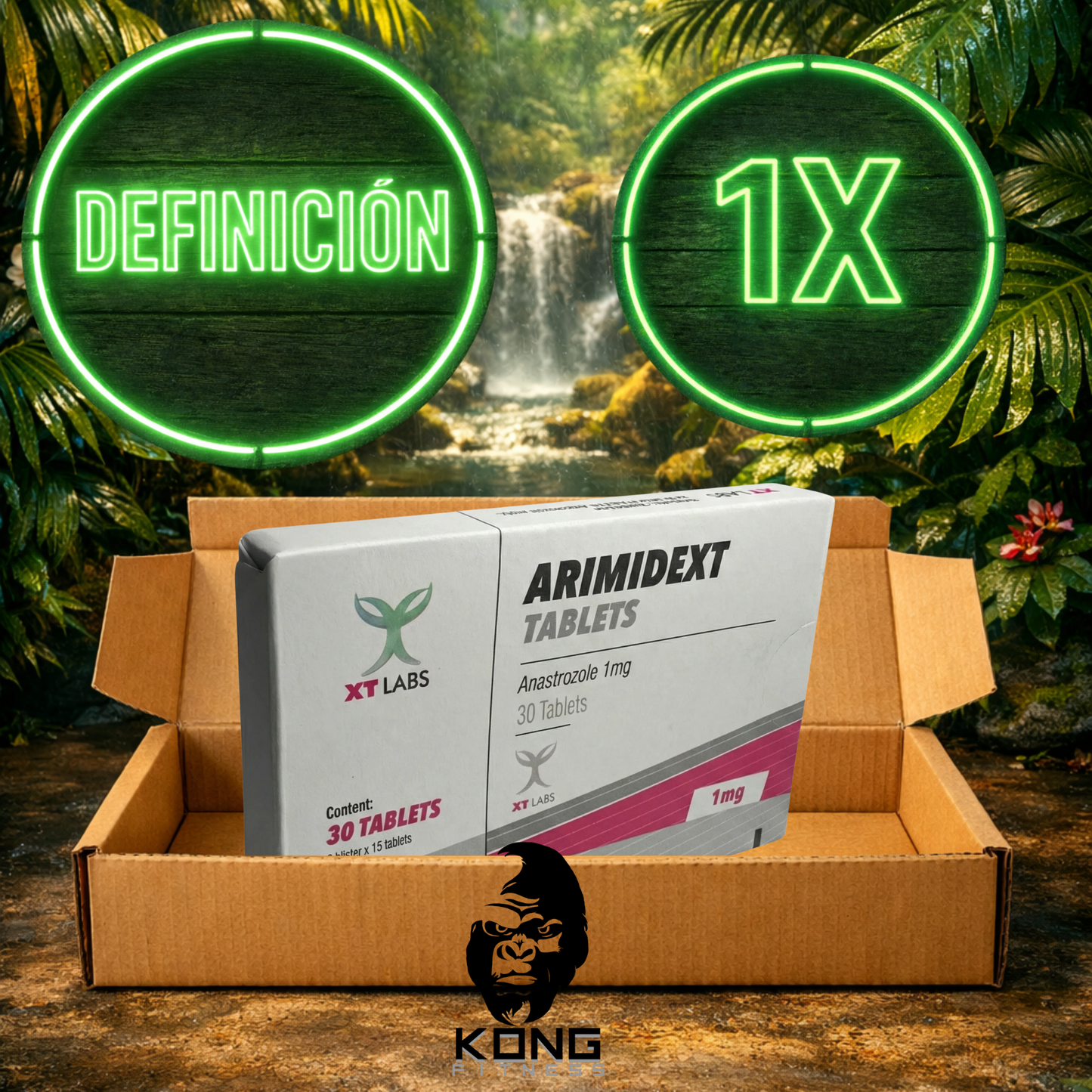 CICLO DEFINICIÓN (ESTÉTICA) LANDERLAN