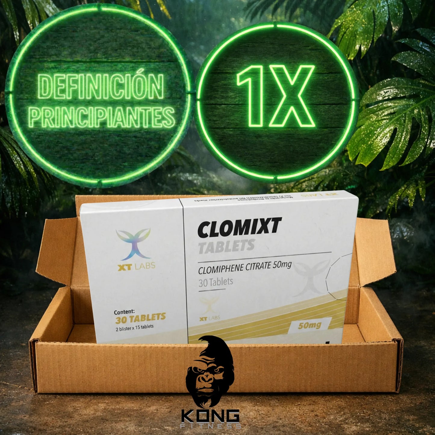 CICLO DEFINICIÓN PRINCIPIANTES (ESTÉTICA) XT LABS