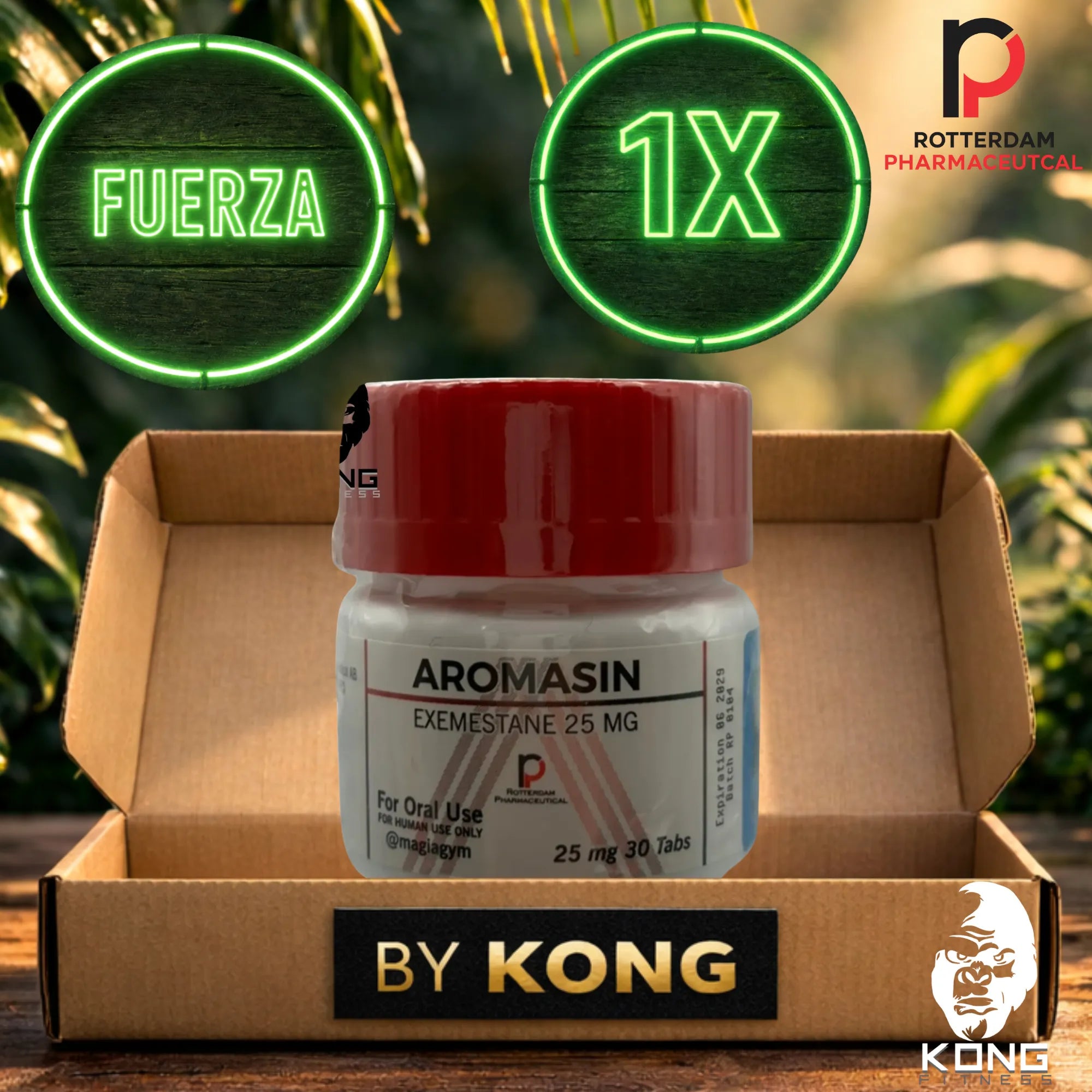 CICLO FUERZA Y RENDIMIENTO (ATLETAS) ROTTERDAM