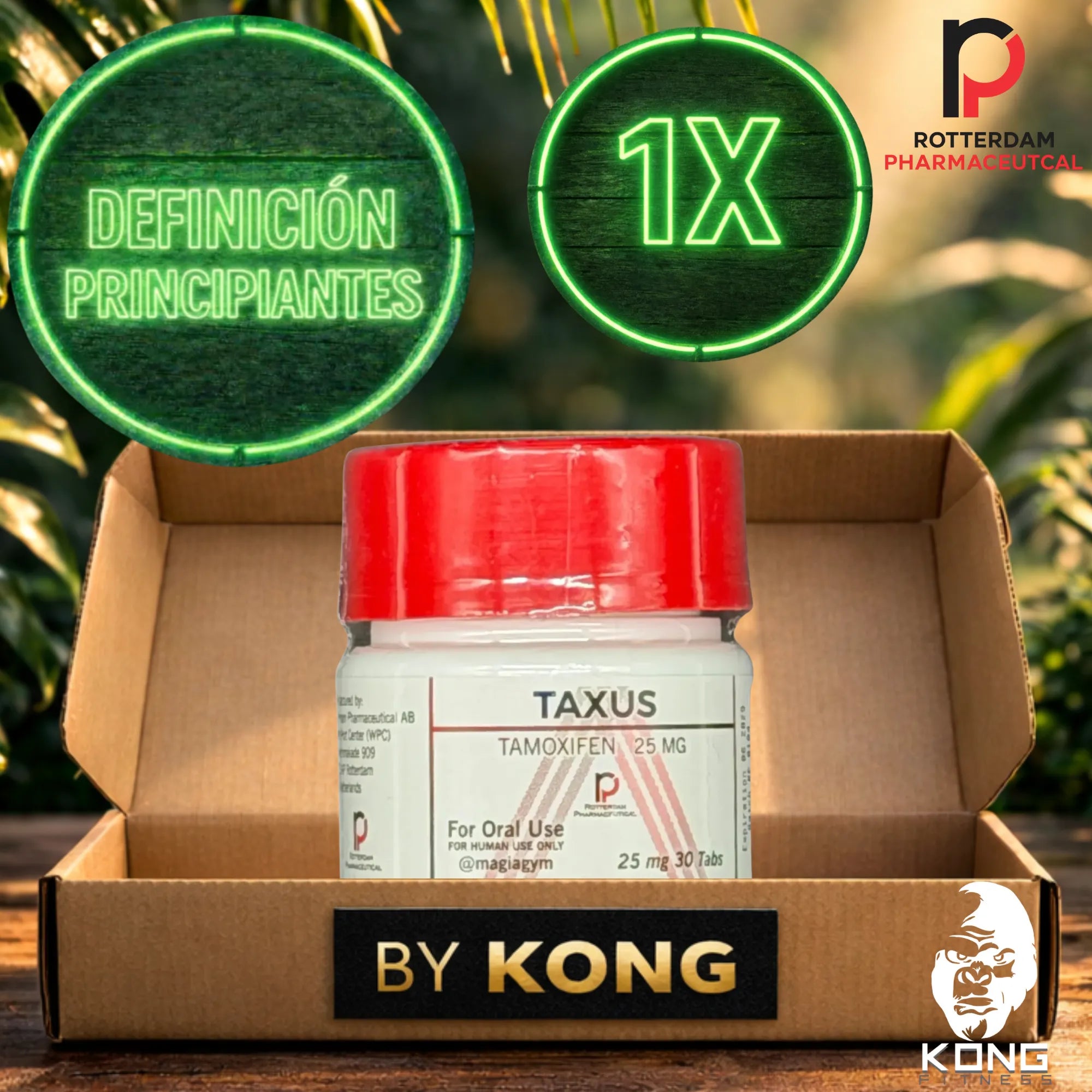 CICLO DEFINICIÓN PRINCIPIANTES (ESTÉTICA) ROTTERDAM