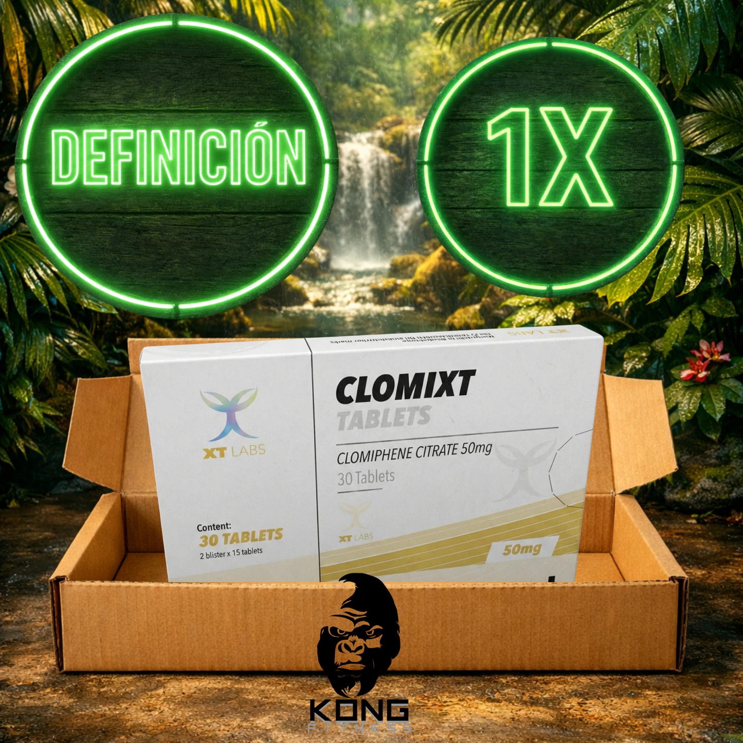 CICLO DEFINICIÓN (ESTÉTICA) LANDERLAN