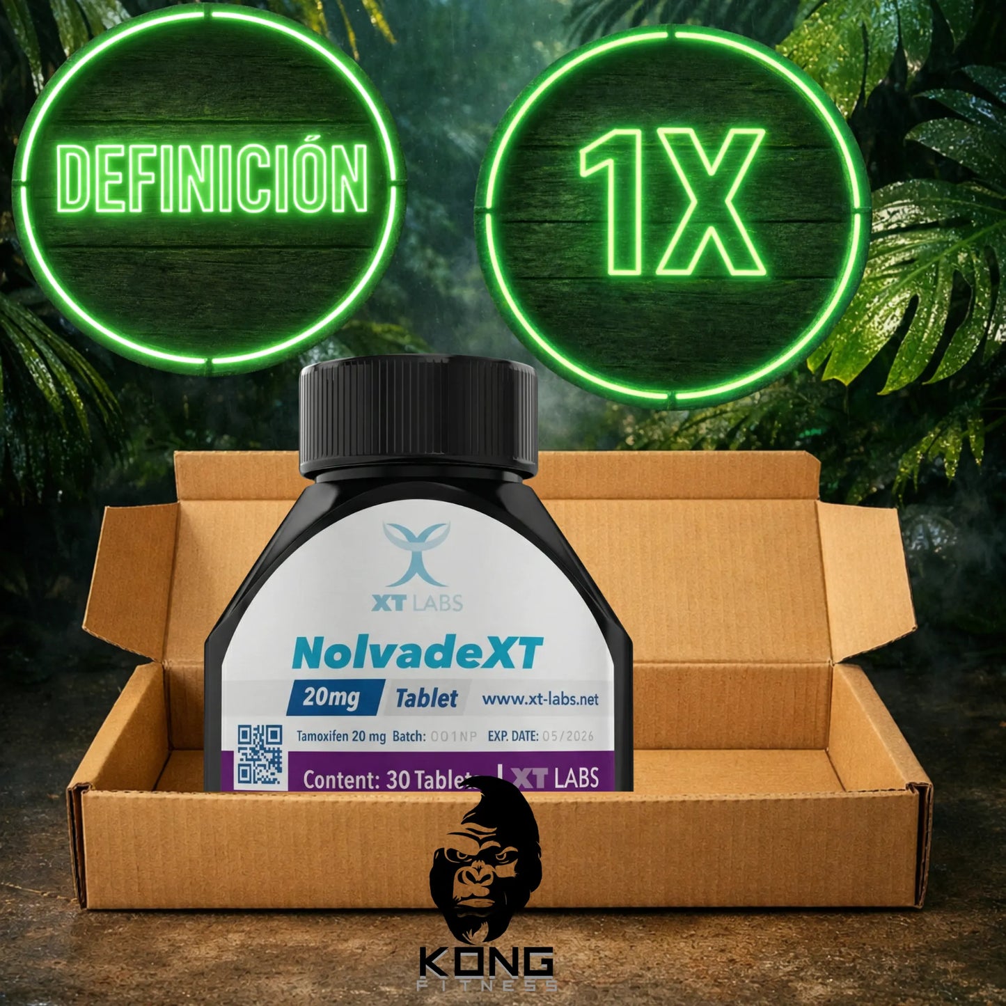 CICLO DEFINICIÓN (ESTÉTICA) XT LABS