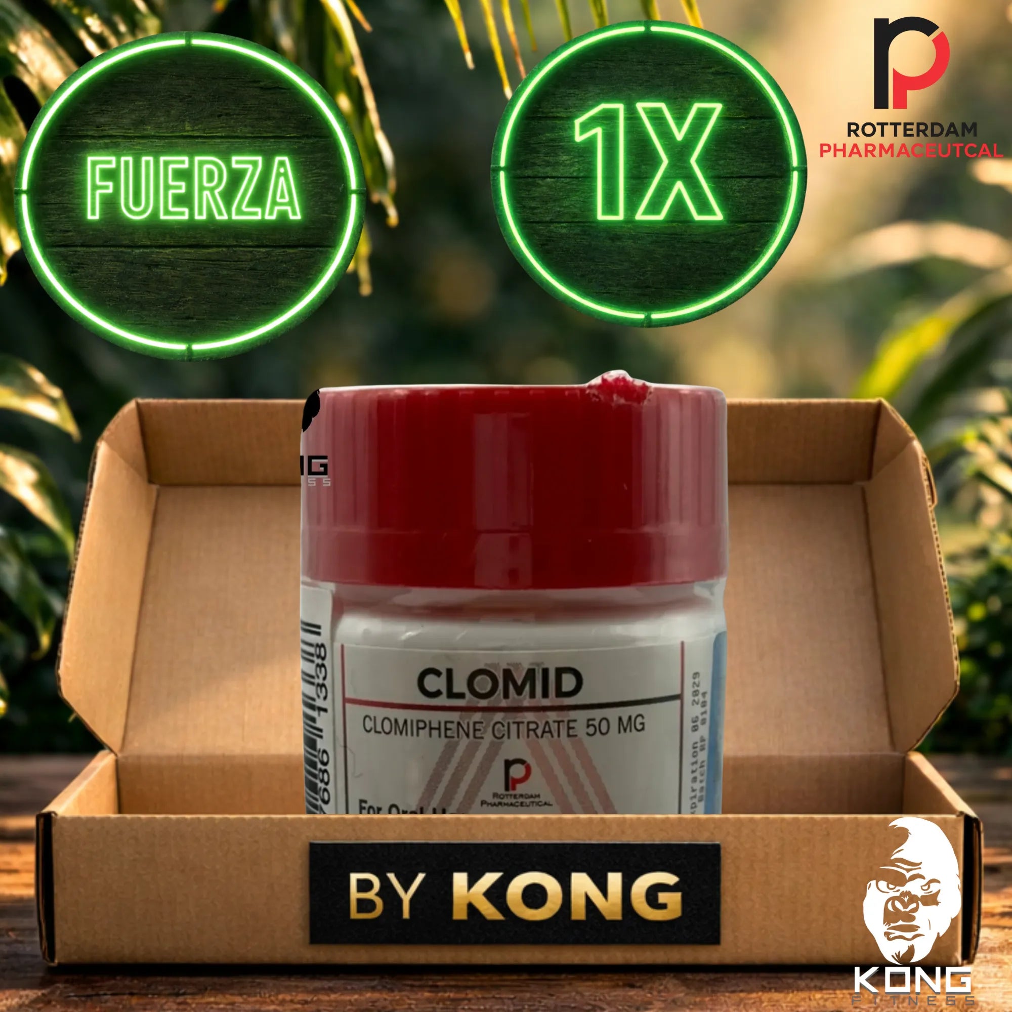 CICLO FUERZA Y RENDIMIENTO (ATLETAS) ROTTERDAM