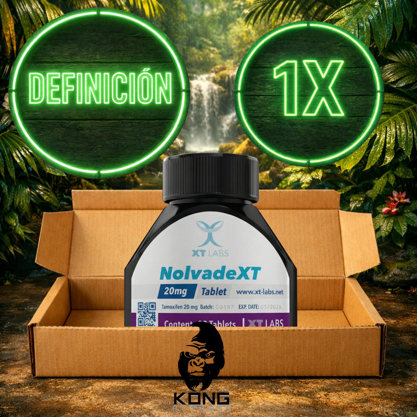 CICLO DEFINICIÓN (ESTÉTICA) LANDERLAN