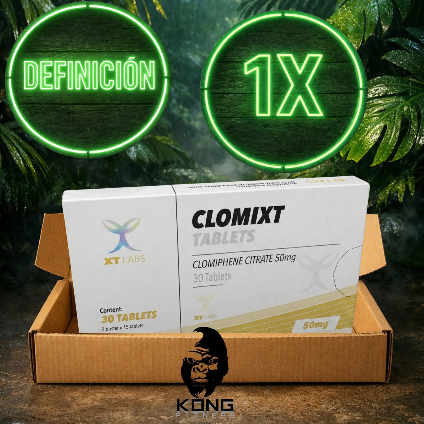 CICLO DEFINICIÓN (ESTÉTICA) XT LABS