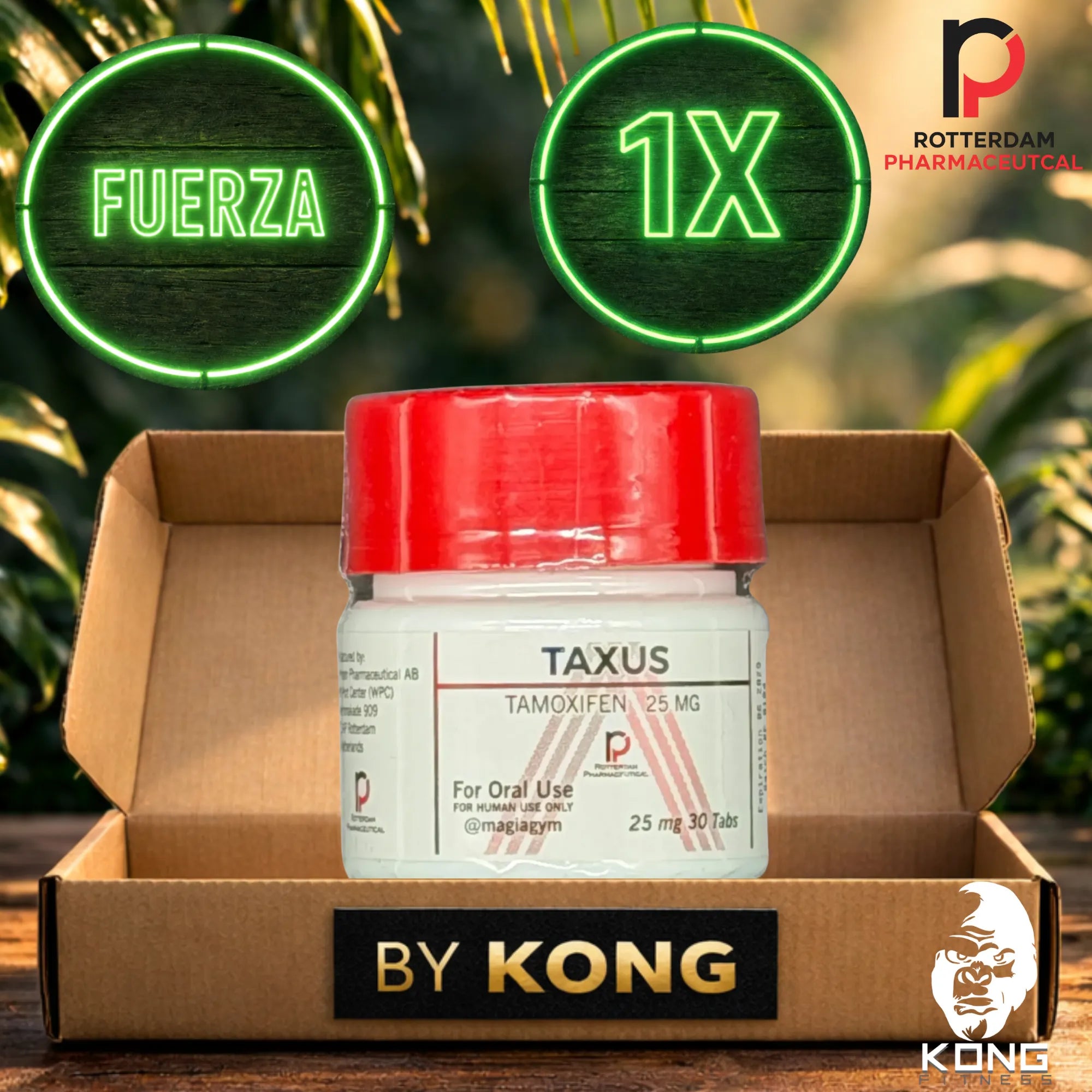 CICLO FUERZA Y RENDIMIENTO (ATLETAS) ROTTERDAM