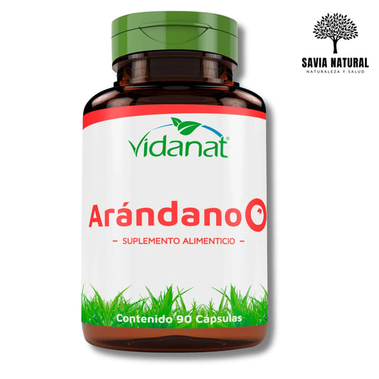 Arándano Extracto Concentrado – Salud Urinaria, Antioxidante y Defensas
