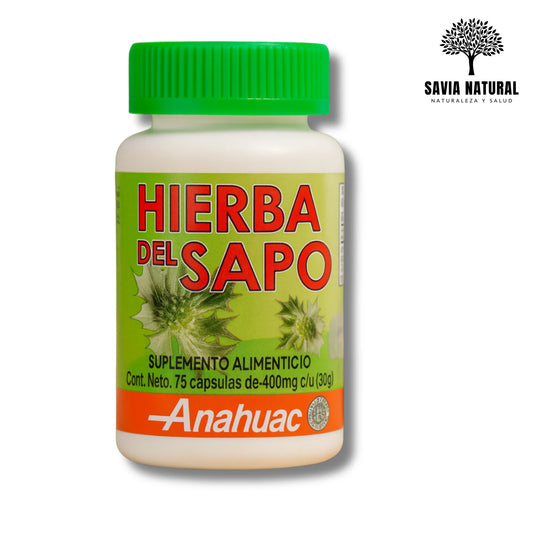 Hierba del Sapo en Cápsulas – Colesterol, Limpieza Arterial y Detox Hepático
