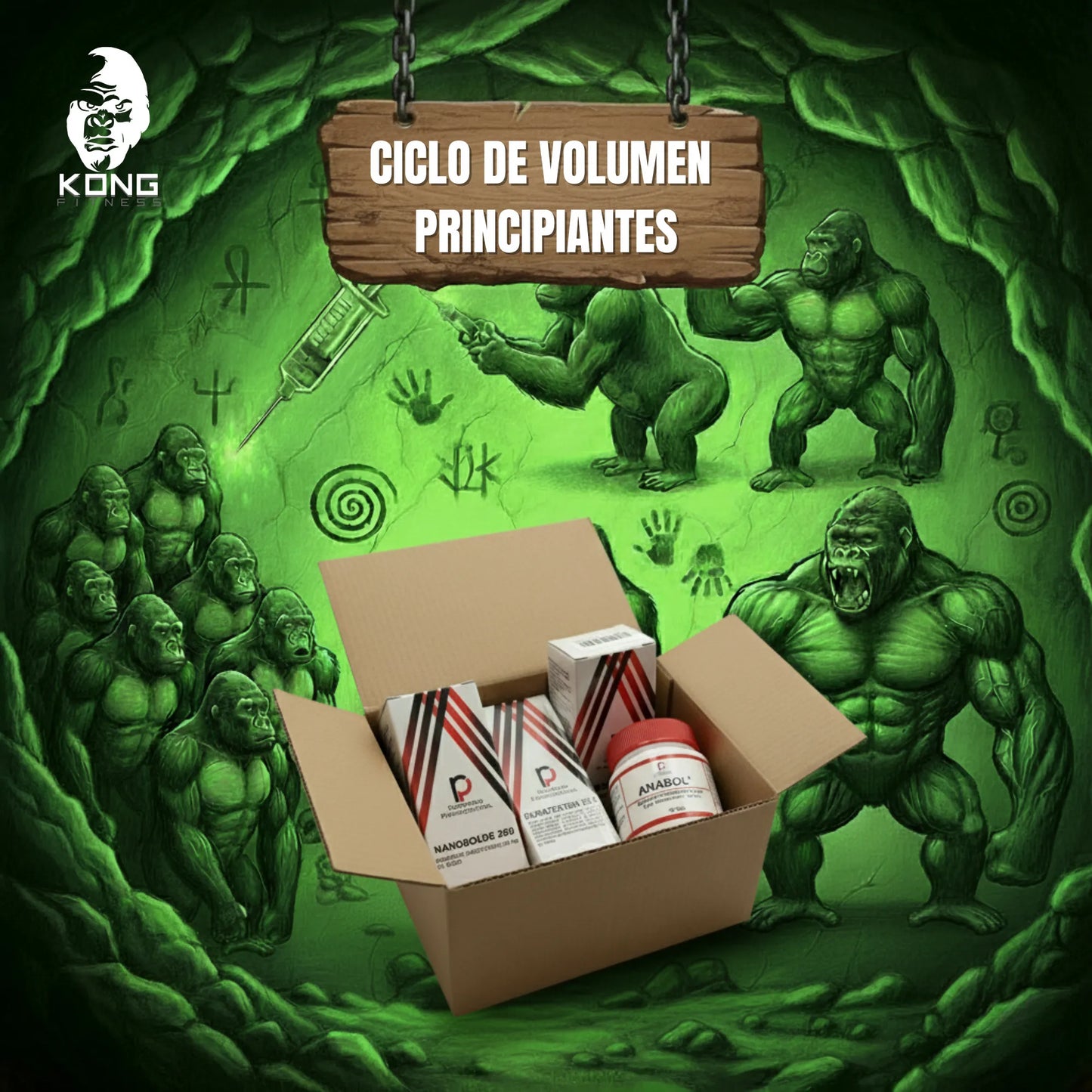 CICLO VOLUMEN PARA PRINCIPIANTES