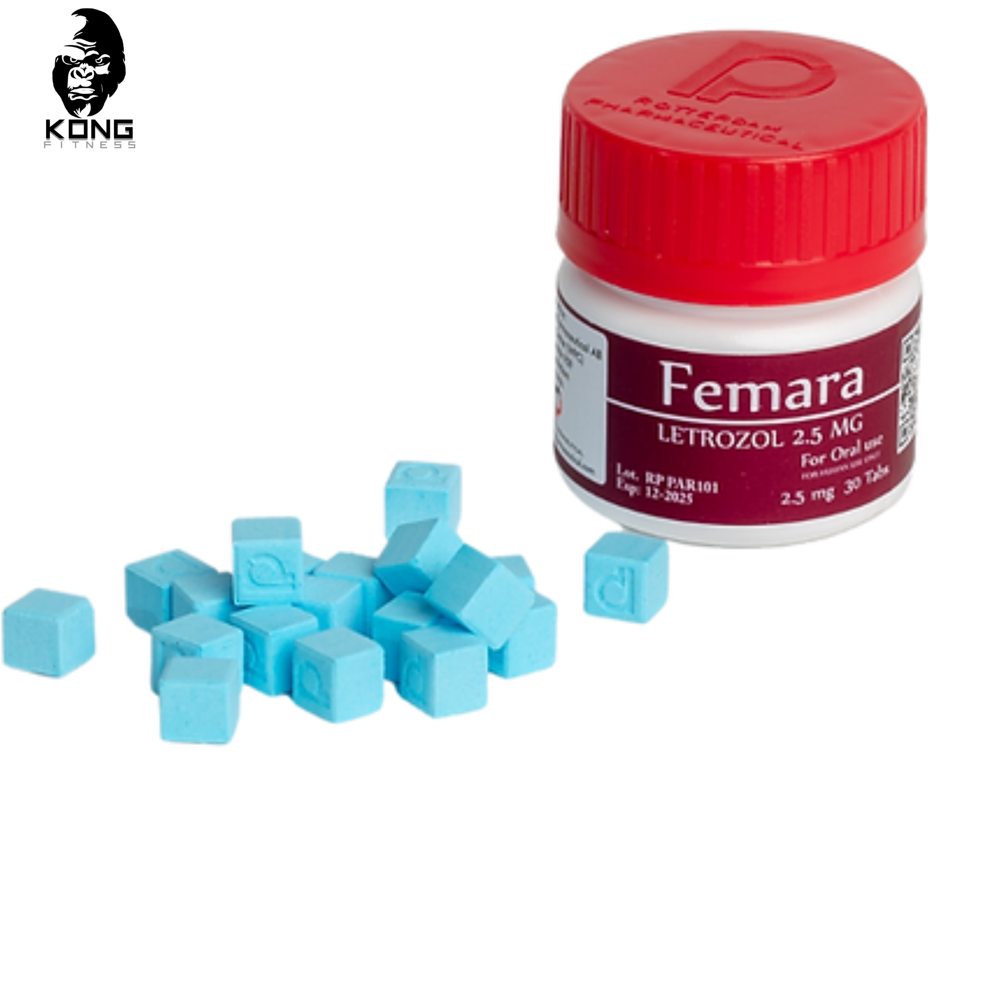 ROTTERDAM FEMARA LETROZOL 2.5 MG 30 TAB