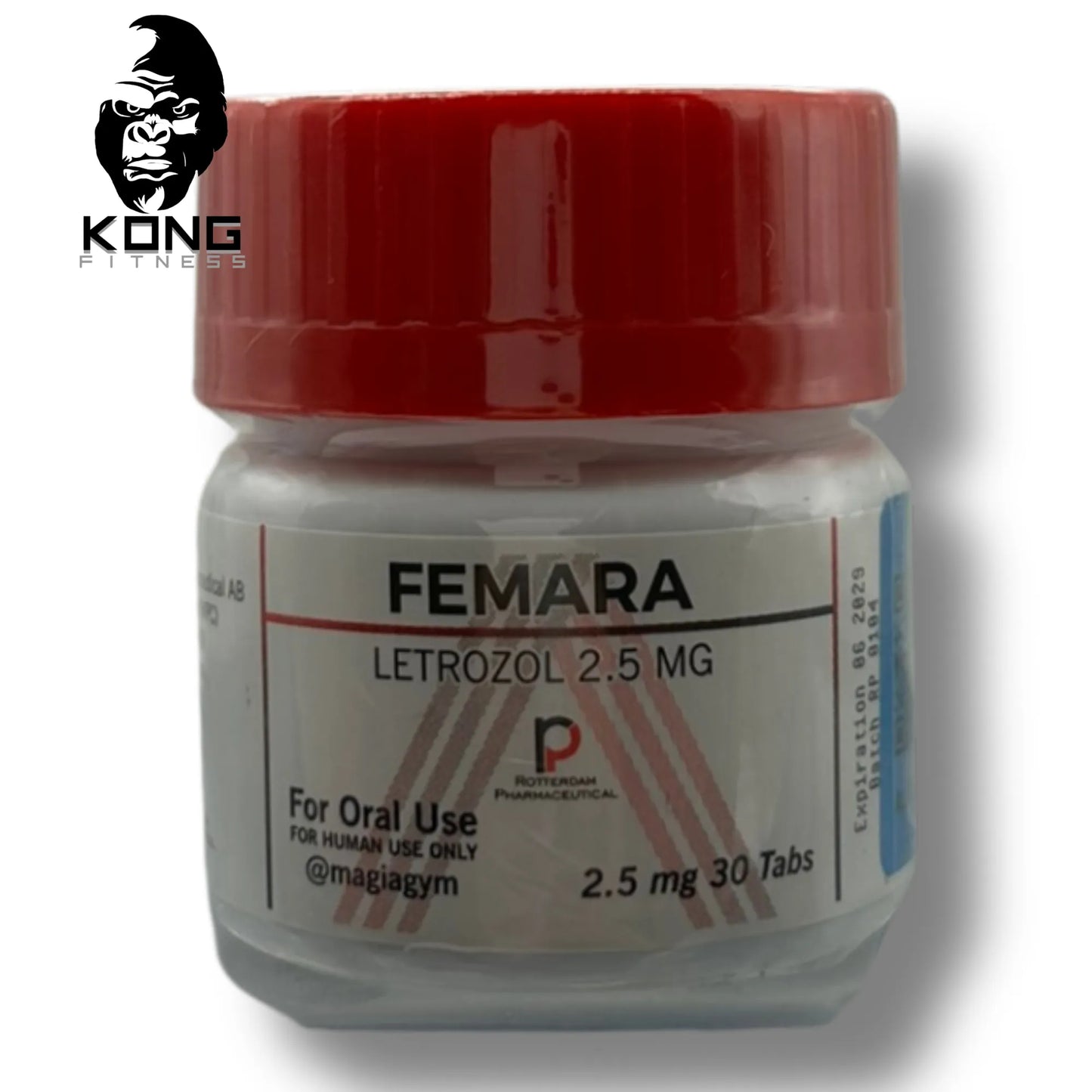 ROTTERDAM FEMARA LETROZOL 2.5 MG 30 TABS – ANTIESTRÓGENO