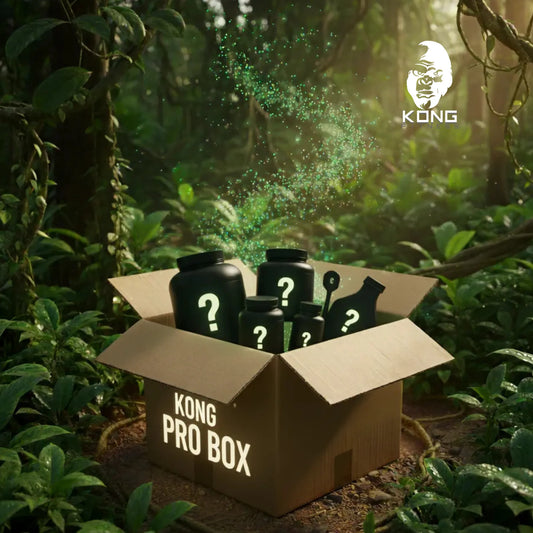 KONG PRO BOX