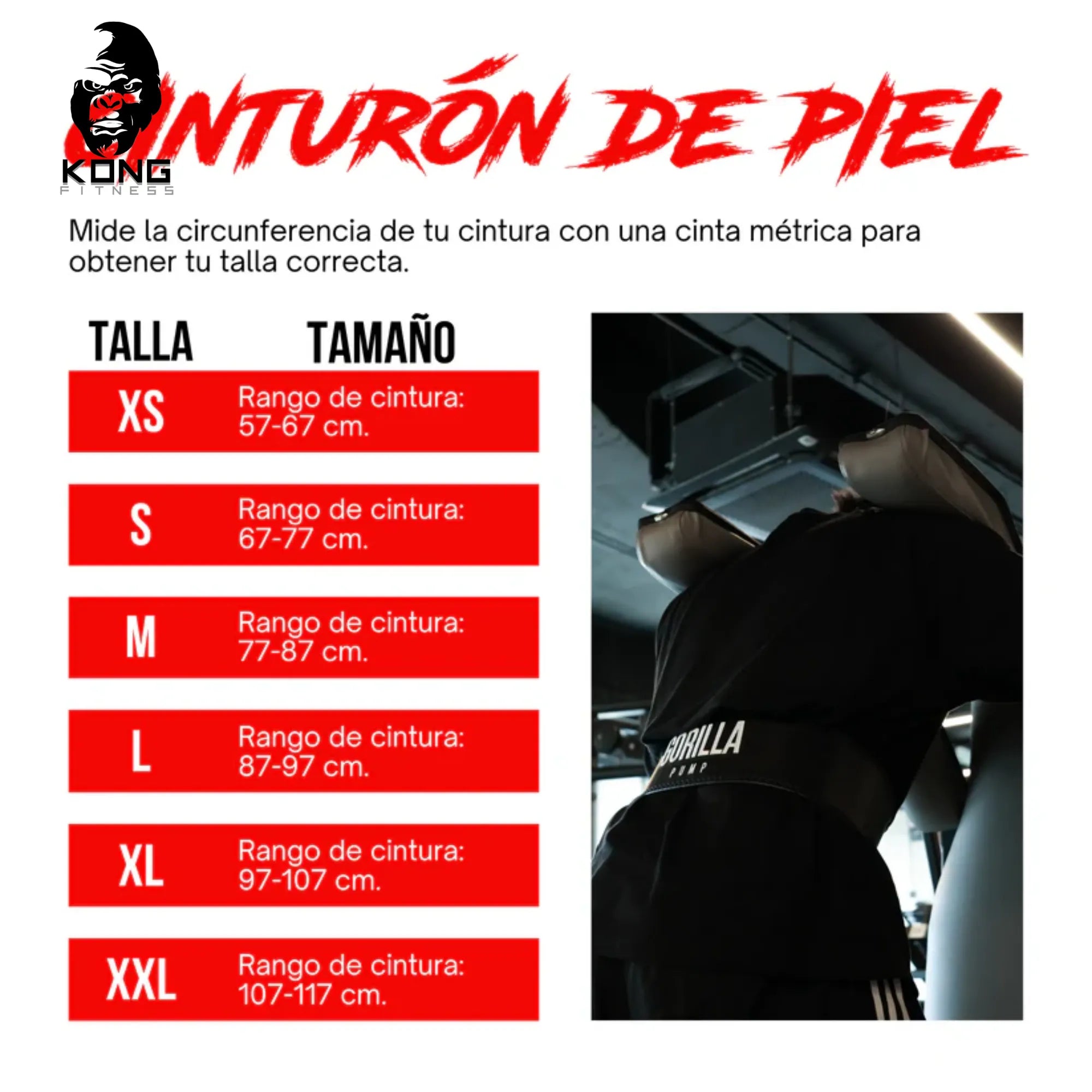 CINTURÓN DE PIEL GORILLA PUMP