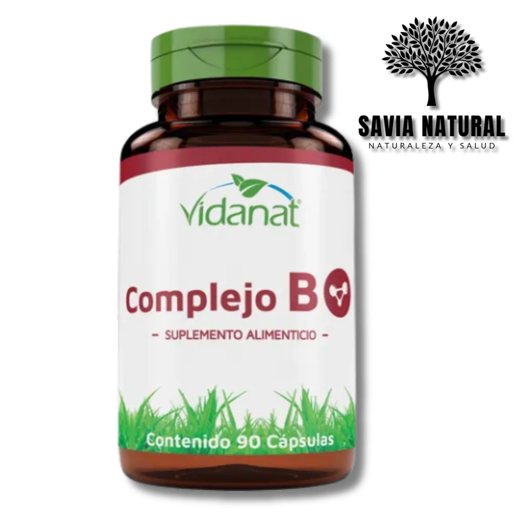 COMPLEJO B VIDANAT – 90 CÁPSULAS