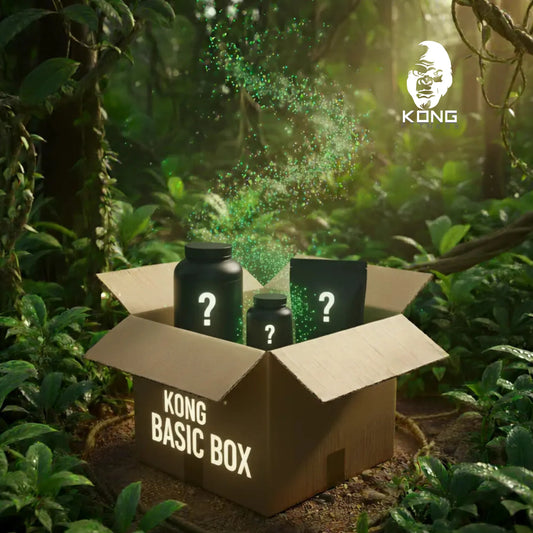 KONG BASIC BOX