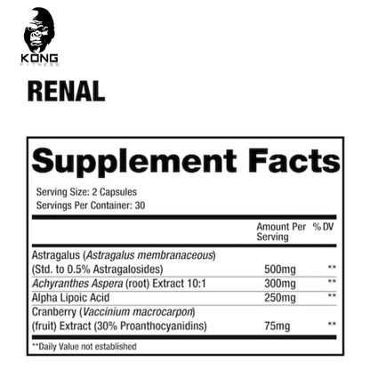 DRAGON RENAL 60 CT