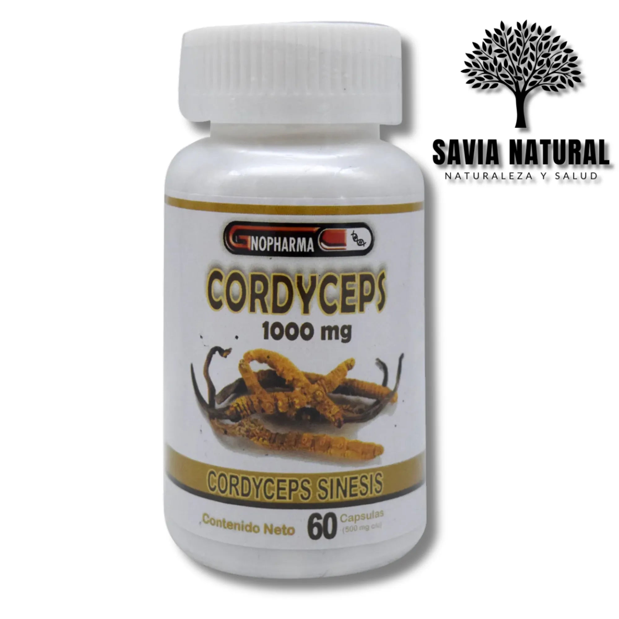 Cordyceps en Cápsulas – 60 pzas | Energía, Resistencia y Apoyo Inmune