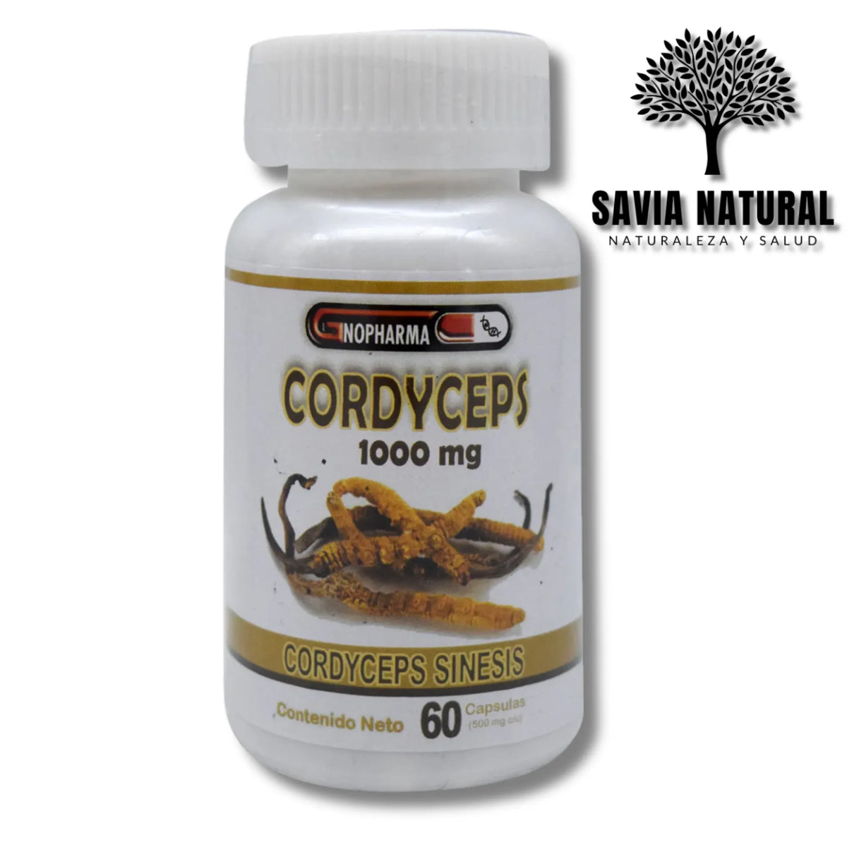 Cordyceps en Cápsulas – 60 pzas | Energía, Resistencia y Apoyo Inmune