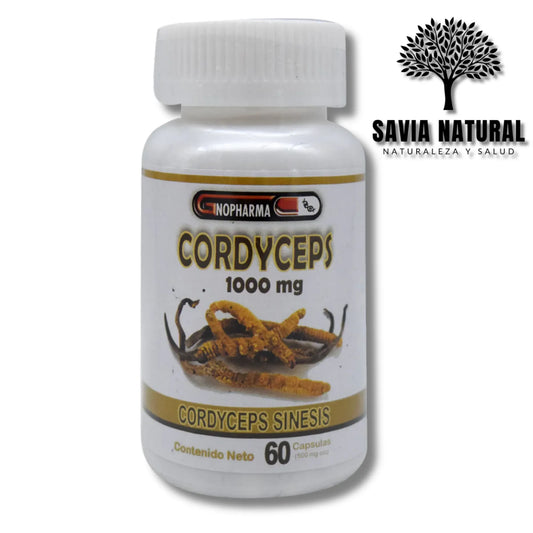 Cordyceps en Cápsulas – 60 pzas | Energía, Resistencia y Apoyo Inmune