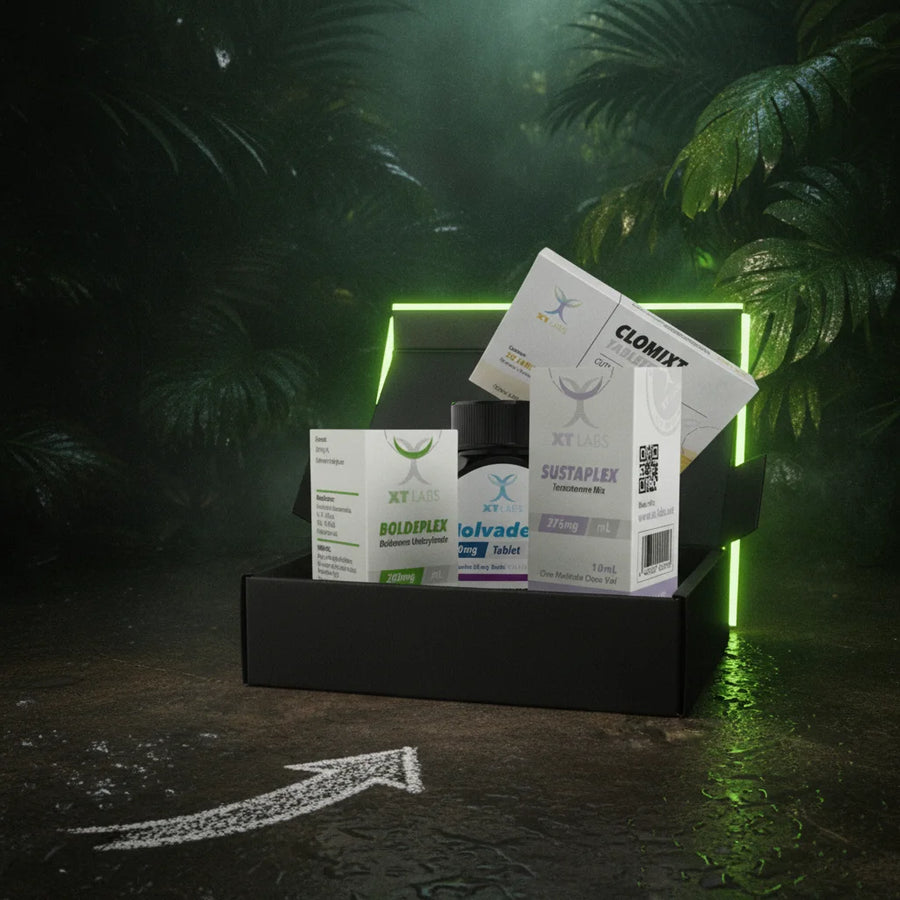 Kit del ciclo recomposición corporal principiantes XT Labs