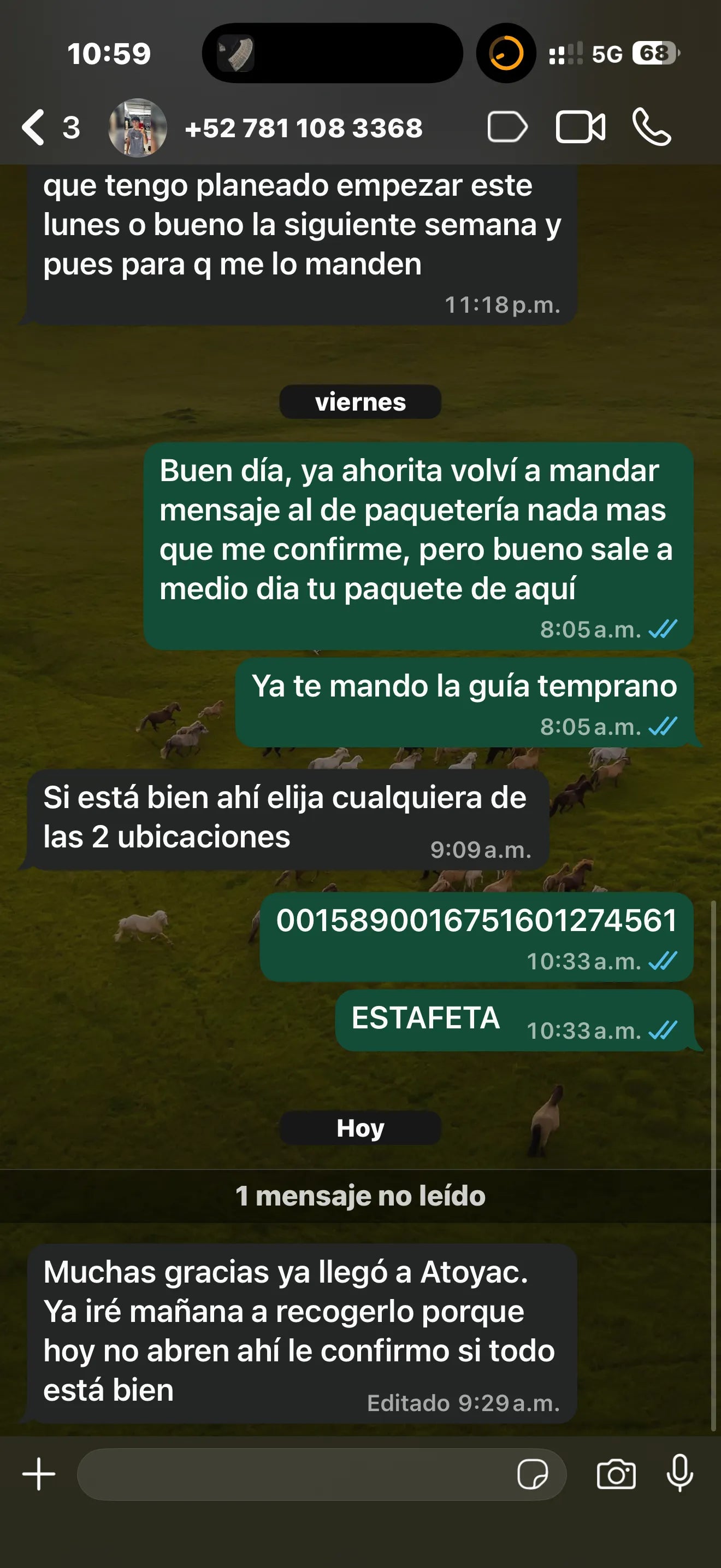Reseña real de cliente 11