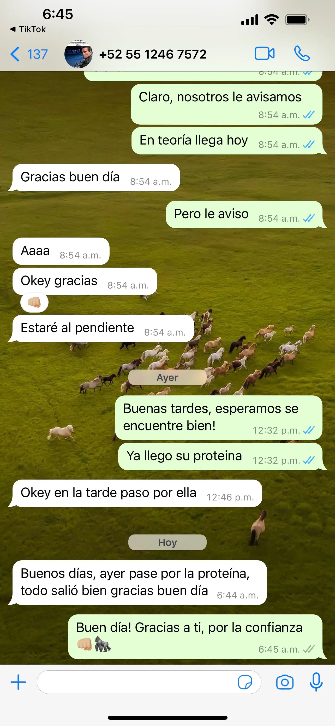Reseña de cliente 2